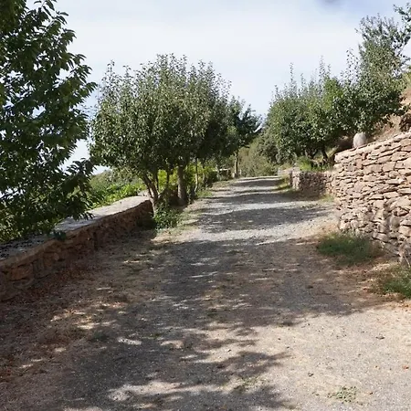 Nyaraló Cortijos Rey Fini