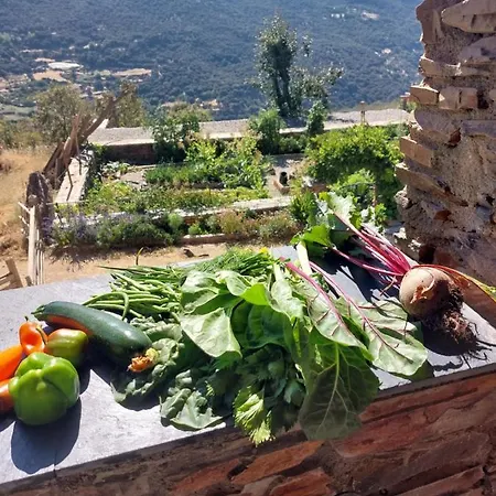 Cortijos Rey Fini 別荘 グラナダ