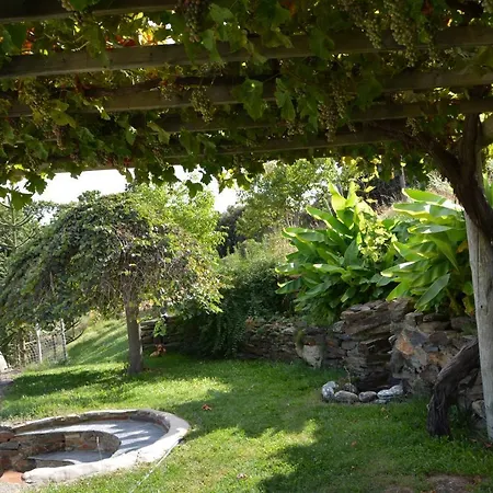 別荘 Cortijos Rey Fini