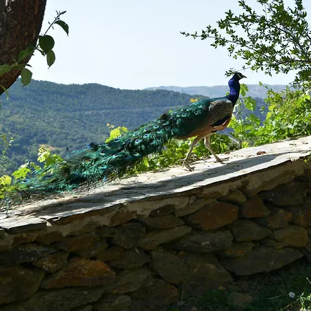 Cortijos Rey Fini Holiday home Granada