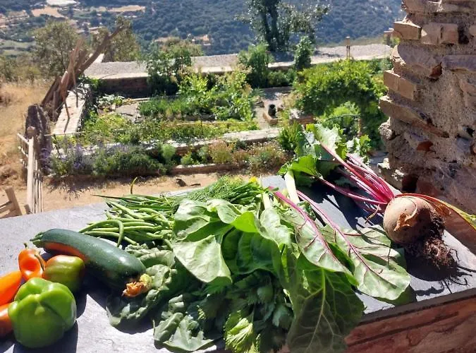 Cortijos Rey Fini Vakantiehuis Granada