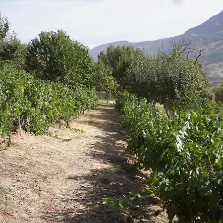 Holiday home Cortijos Rey Fini